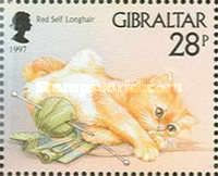 Red Self Longhair (Felis silvestris catus)