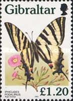 Scarce Swallowtail (Iphiclides podalirius)