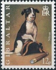 Nileus (Canis lupus familiaris) with Hat and Telescope