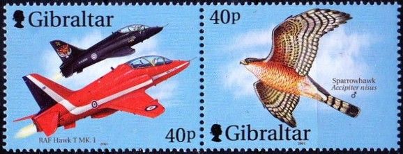 RAF Hawk T MK. 1