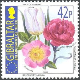Tulip of Hungary, Carnation of Slovenia & Dog Rose of Slovak