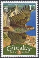 Bonelli's Eagle (Hieraaetus fasciata)