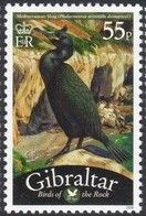 Mediterranean Shag (Phalacrocorax aristotelis desmaresti)