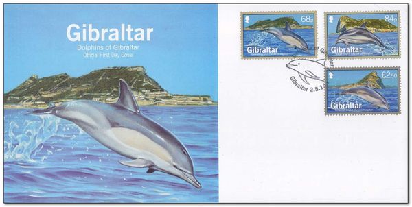 Common Dolphin (Delphinus delphis)