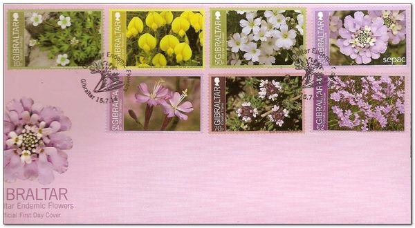 Gibraltar Thyme