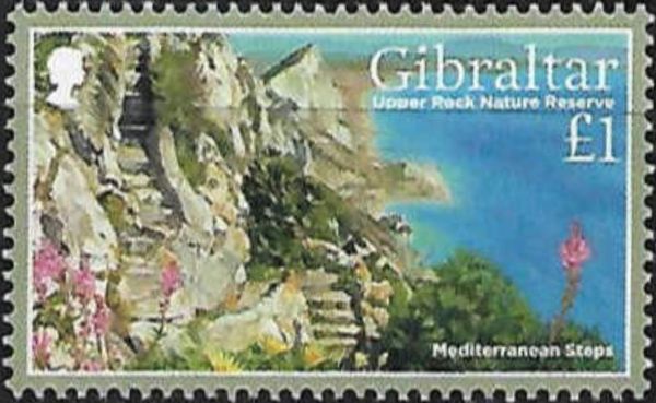 Mediterranean steps