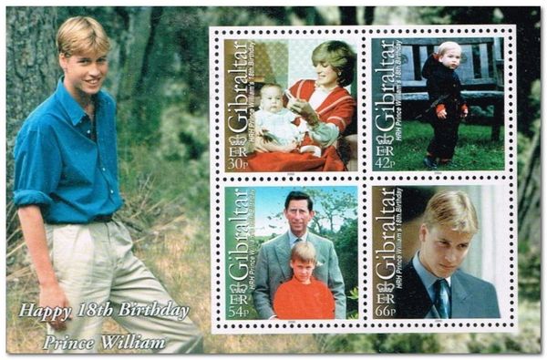 18th Birth Anniversary of Prince William
