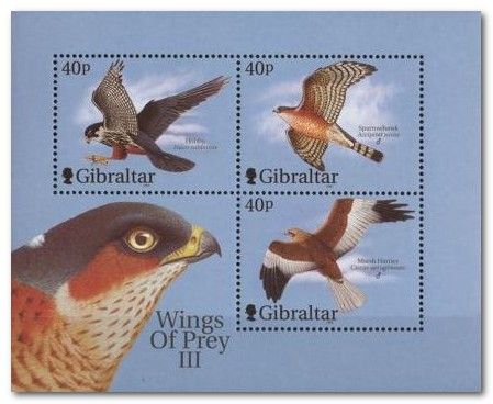 Birds of Prey