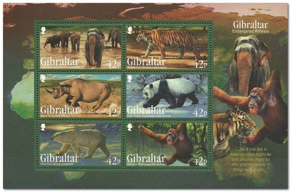 Endangered Animals