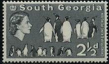 Chinstrap & King Penguin