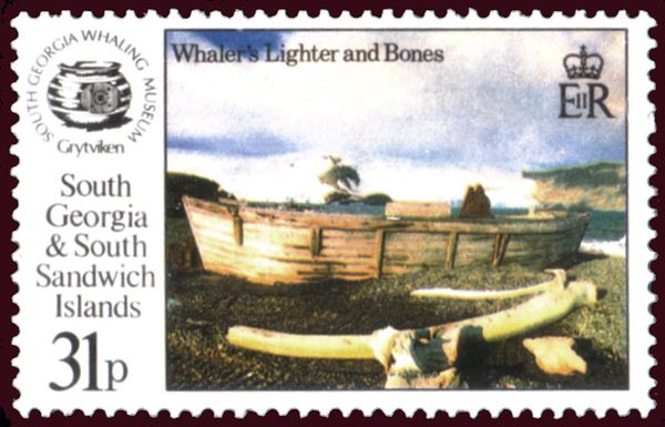 Whale's Lighter and Bones