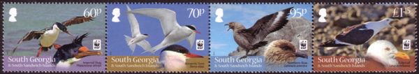 WWF - Seabirds