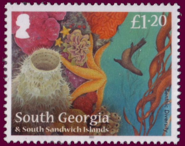 Benthic diversity