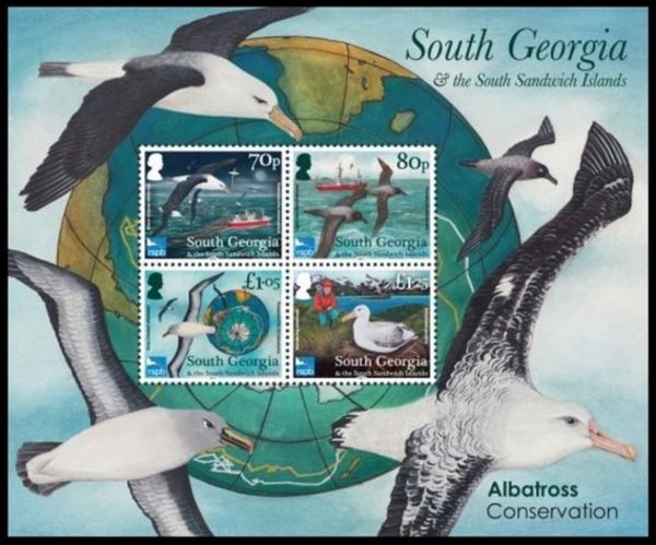 Albatrosses