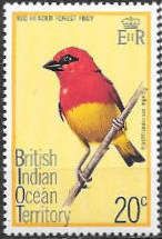 Red-headed Forest Fody (Foudia eminentissima)