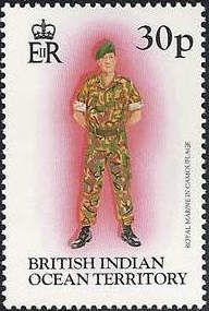 Royal Marine in Camouflage