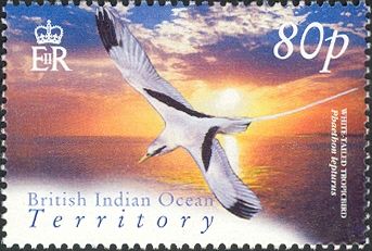 White-tailed Tropicbird (Phaethon lepturus)