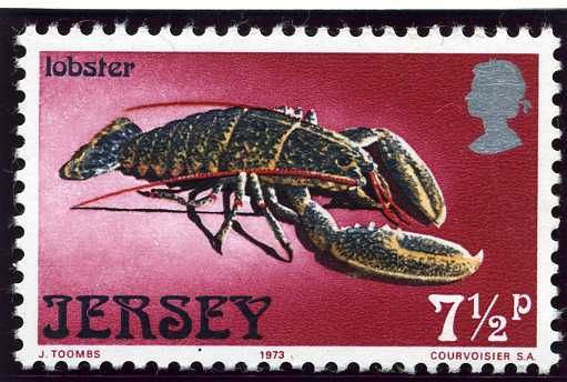 Common Lobster (Homarus gammarus)