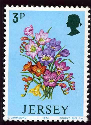 Daffodils and Iris