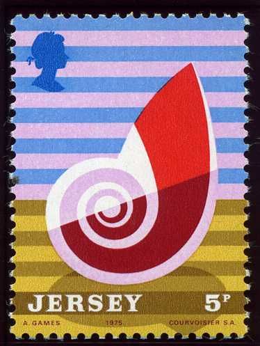 Nautilus Shell