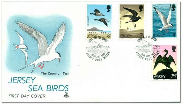 Common Tern (Sterna hirundo)