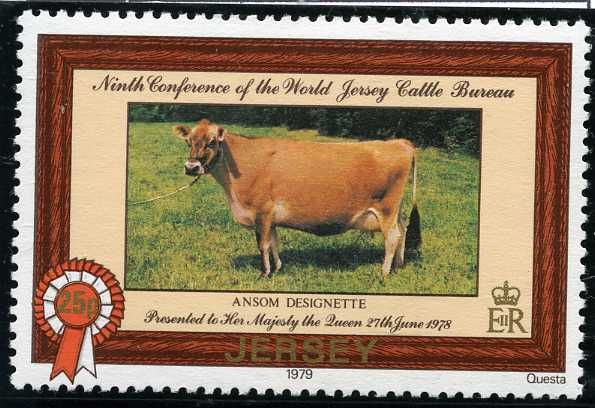 "Ansom Designette", Cow presented to the Queen, 1978