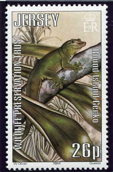 Round Island Gecko (Phelsuma guentheri)