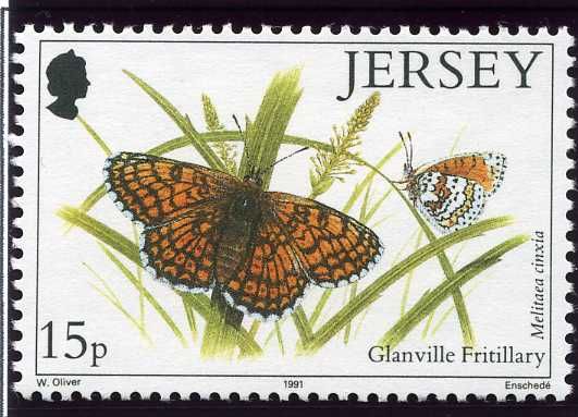 Glanville Fritillary (Melitaea cinxia) 