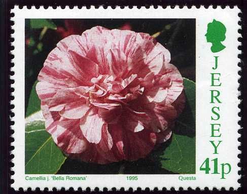 'Bella Romana'