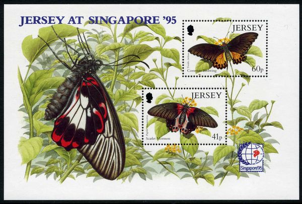Scarlet Mormon (Papilio rumanzovia)