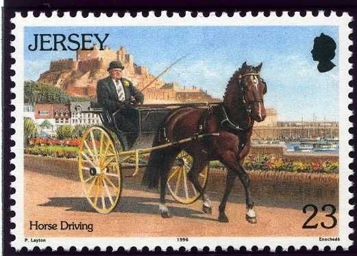 Horse Driving
