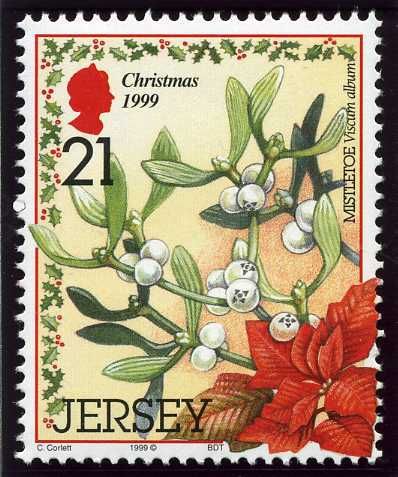 Christmas Plants: Mistletoe (Viscum album)