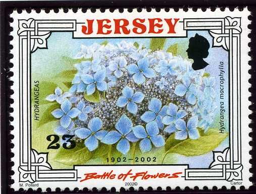 Centenary of "Battle of Flowers" Parade