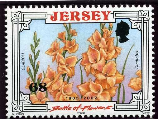 Gladioli (Gladiolus)