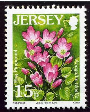 Bog Pimpernel (Anagallis tenella)