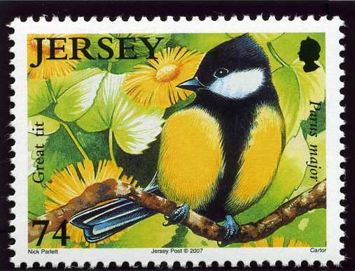 Great Tit (Parus major)