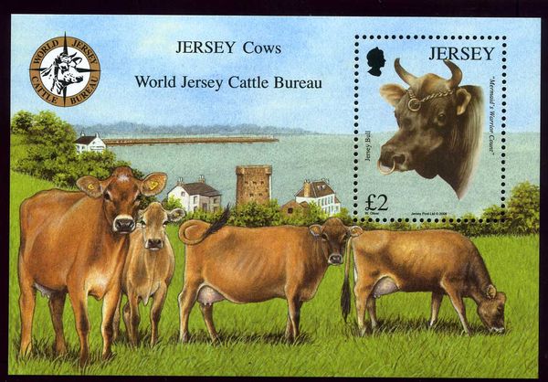 Jersey Bull "Mermaid’s Warrior Count"