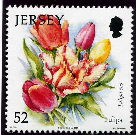 Tulips
