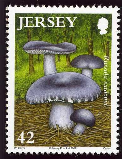 Russula sardonia