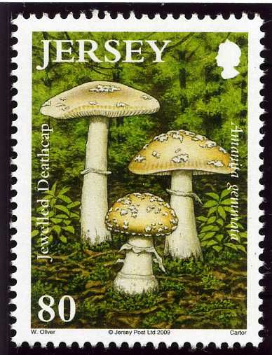 Jewelled Deathcap