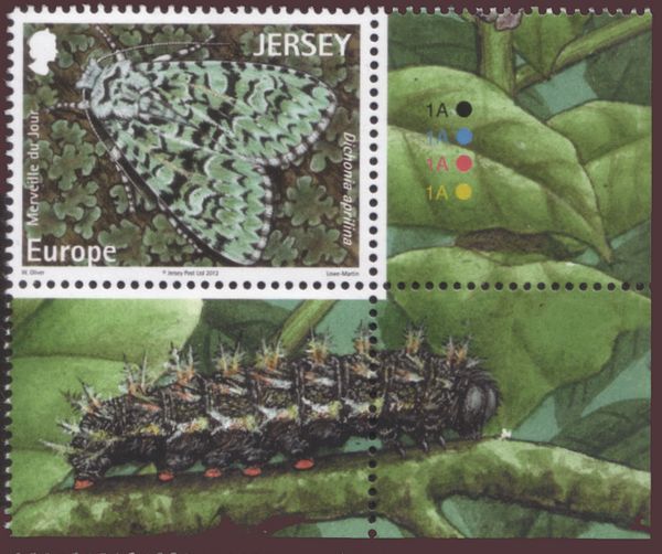 Merveille-du-Jour (Dichonia aprilina)
