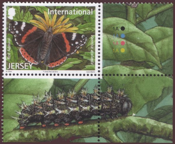Red Admiral (Vanessa atalanta)