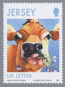 Daisy, Jersey Cow (Bos primigenius taurus)