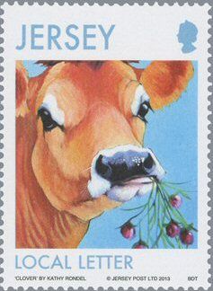 Buttercup, Jersey Cow (Bos primigenius taurus)