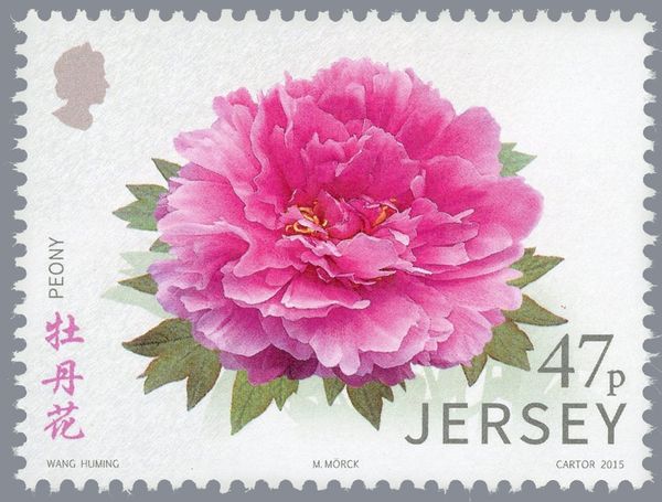 Peony