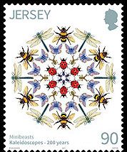 Minibeasts