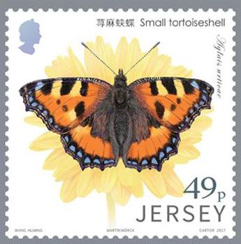 Small Tortoiseshell (Aglais urticae)