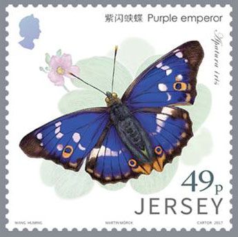 Purple Emperor (Apatura iris)