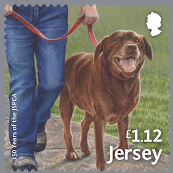 Re-homing (dog)