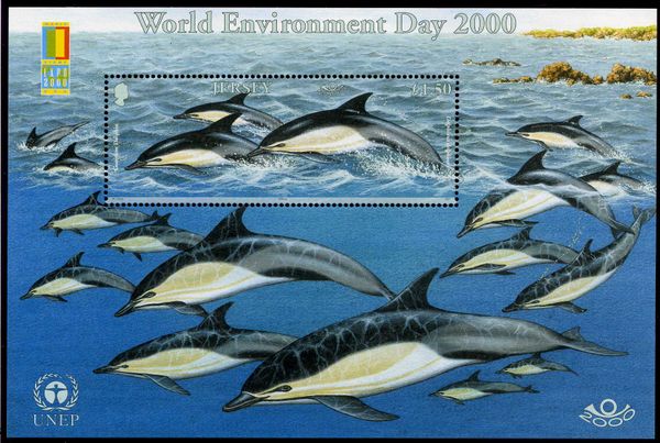 Common Dolphin (Delphinus delphis)